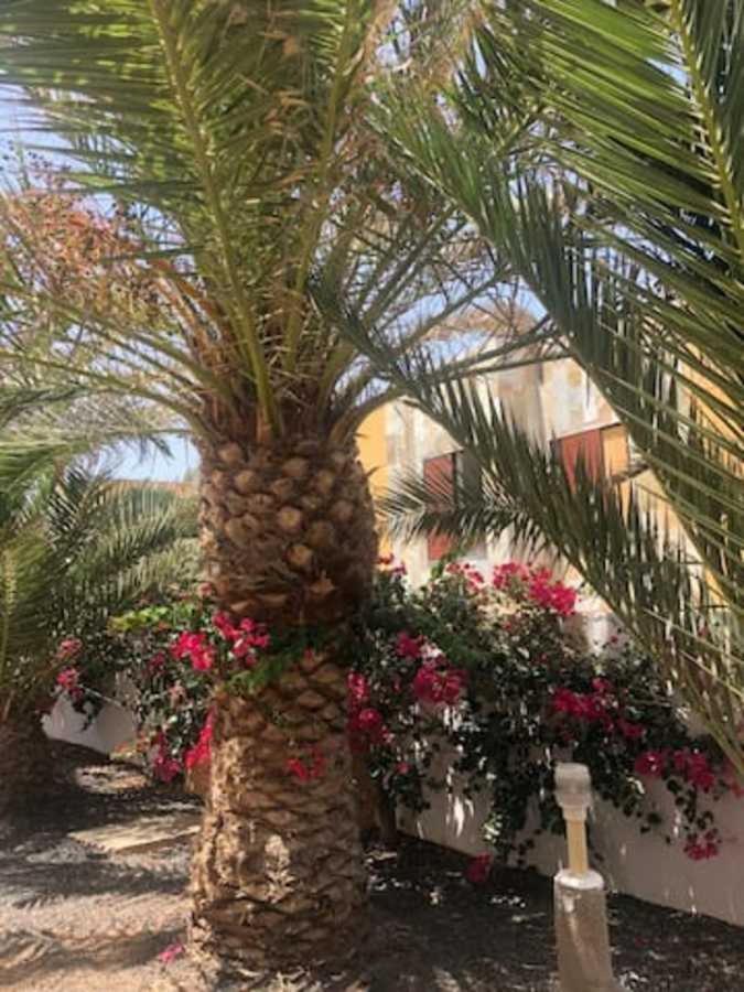Amaya Relax كوستا دي أنتيجوا المظهر الخارجي الصورة
