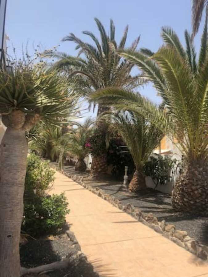 Amaya Relax كوستا دي أنتيجوا المظهر الخارجي الصورة