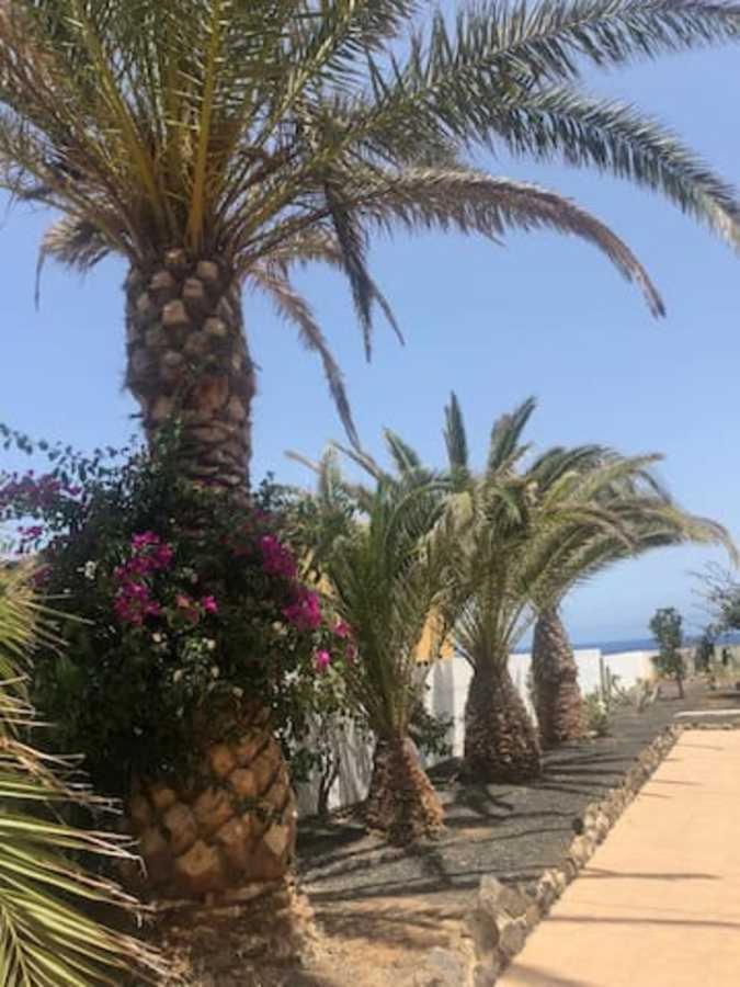 Amaya Relax كوستا دي أنتيجوا المظهر الخارجي الصورة